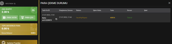 son bahis çekim.png