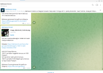 Ekran görüntüsü 2022-04-30 183034.png